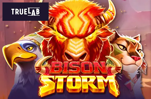 Bison Storm